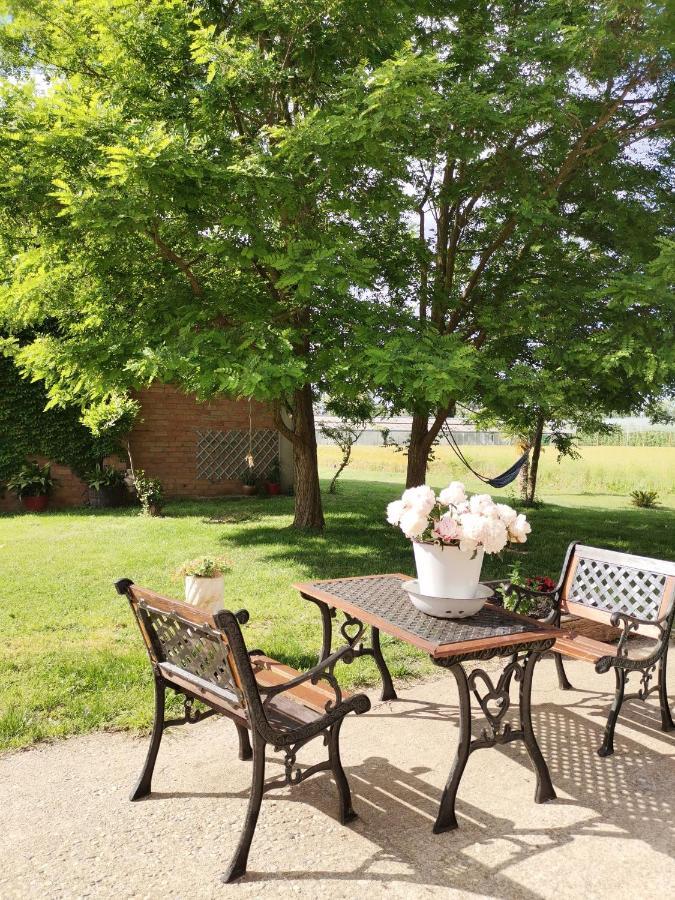 Mas Horta Prim Guest House Сант Пере Пескадор Екстериор снимка