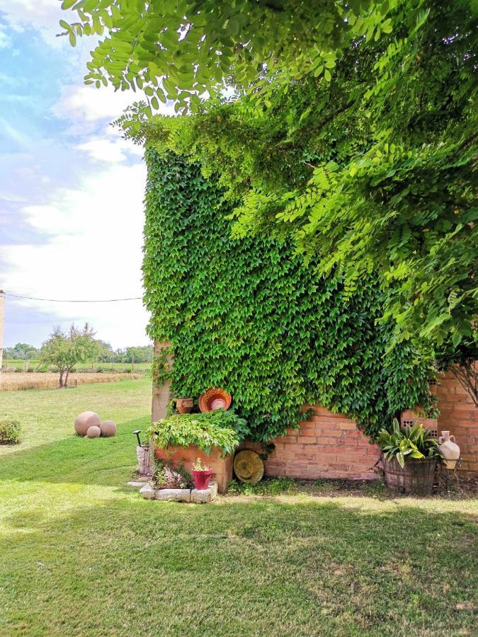 Mas Horta Prim Guest House Сант Пере Пескадор Екстериор снимка